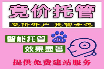 SEM服务案例：助力企业拓展海外市场